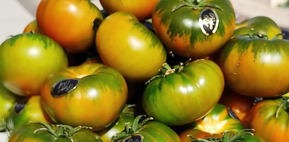 Ya puedes pedir tus tomates raf "Piedra Raf"